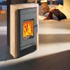 Haas+Sohn Kaminofen Home HASVIK